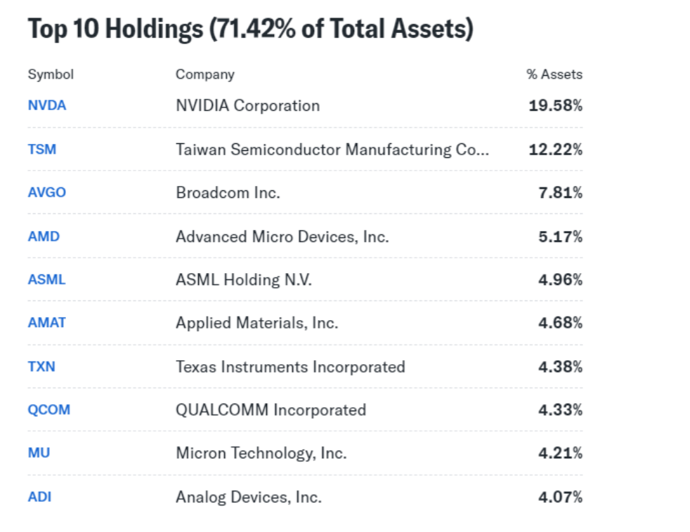 top 10 holdings